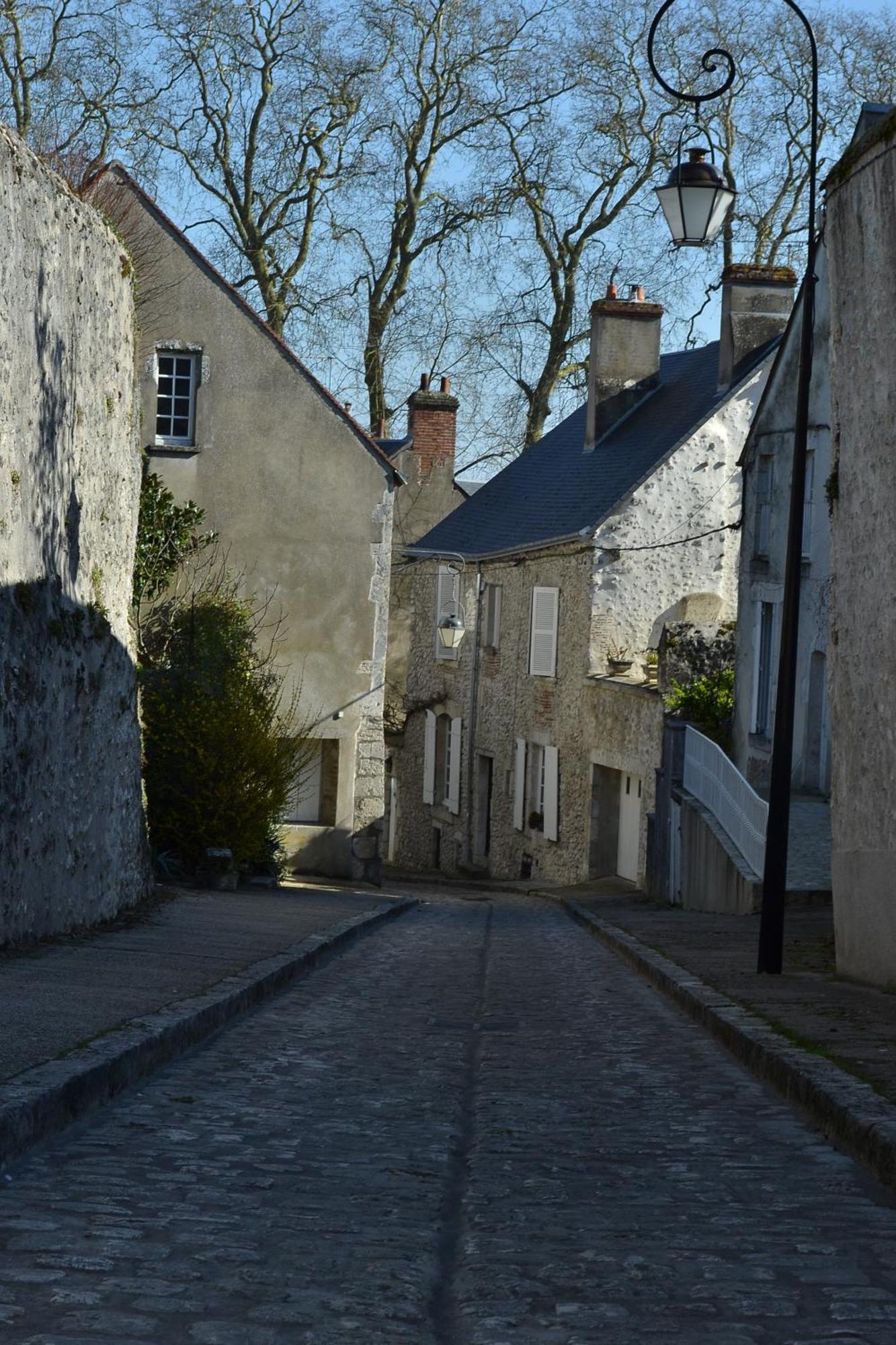 B&B Chez Sylvain Beaugency Buitenkant foto