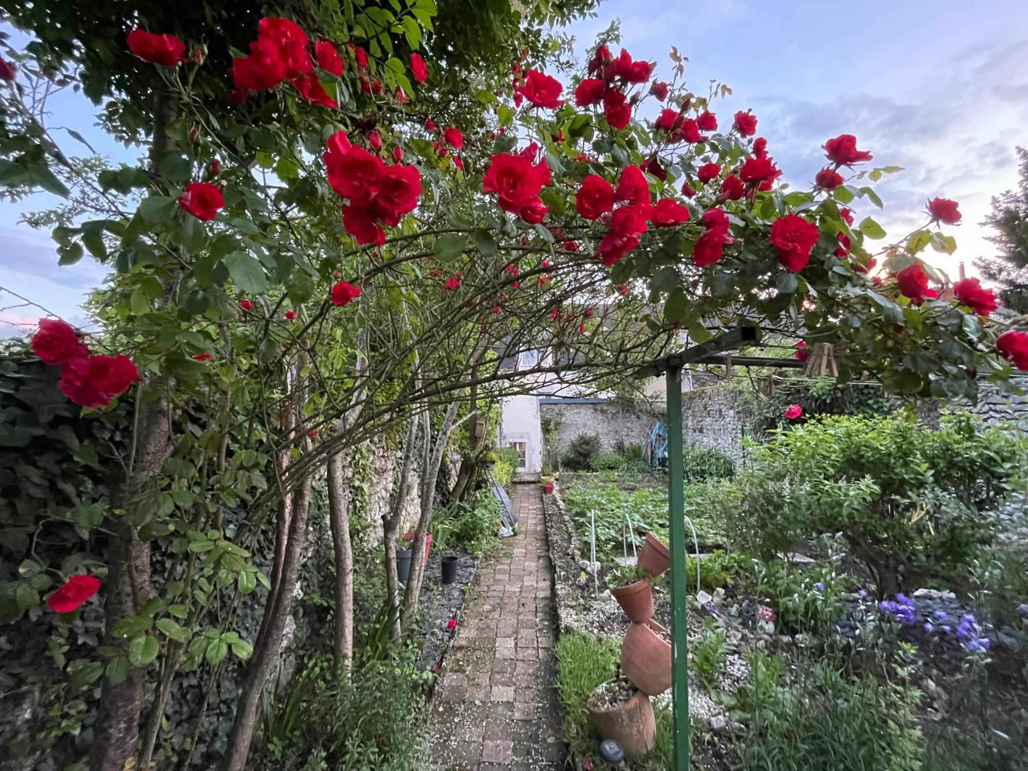 B&B Chez Sylvain Beaugency Buitenkant foto